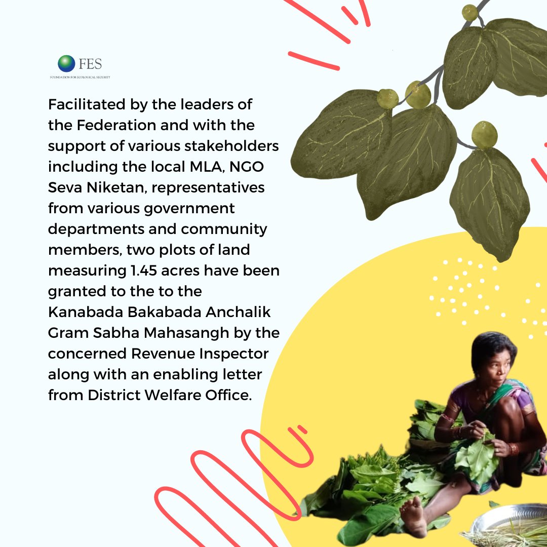 fesforcommons's tweet photo. In an unprecedented case in Odisha, a regional Federation of Gram Sabhas in Kalahandi district has been allocated land for the construction of an NTFP godown to strengthen the livelihoods of local communities.
#CommunityAction #LocalGovernance #ForestCommons #CFR https://t.co/mwiNjc1UPx