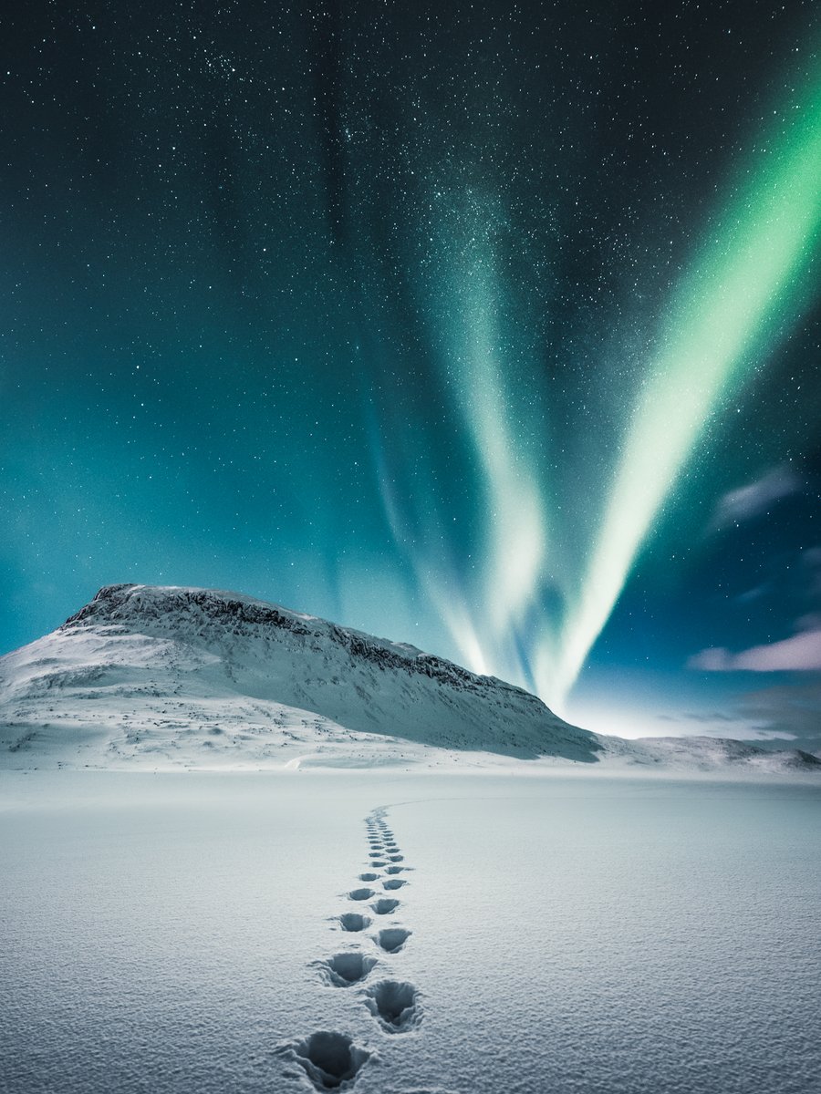 Mikko tweet media