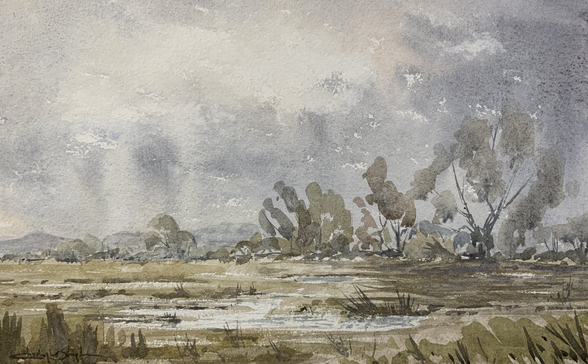 ChrisStephenArt's tweet photo. Lea Valley Marsh
#watercolour #art #tworiverspaper https://t.co/kdp4c5sC1u