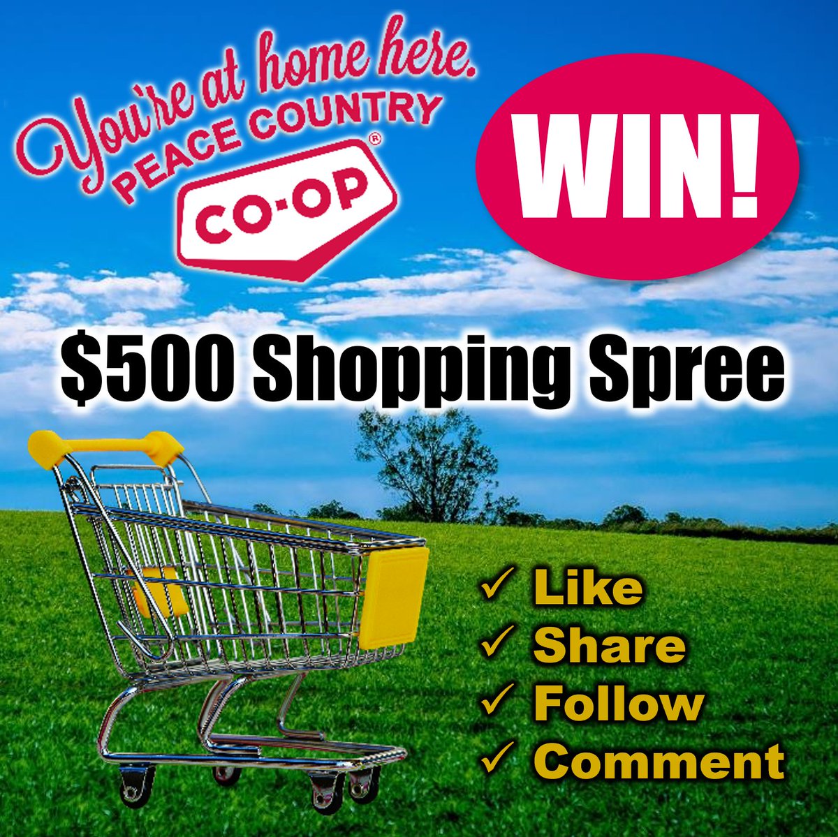 WIN!!! A $500 Shopping Spree Just follow us, like this post, share it and leave a comment with who you are getting groceries with, to get entered in!

There are three ways to enter in, our Facebook, Twitter and Instagram! Good luck!
