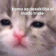 lamemeria_'s tweet photo. Me: tienes que ser responsable, aprobar los exámenes, sacar adelante todo ✨ tú puedes ✨

Also me: https://t.co/O9UfnMZUXG