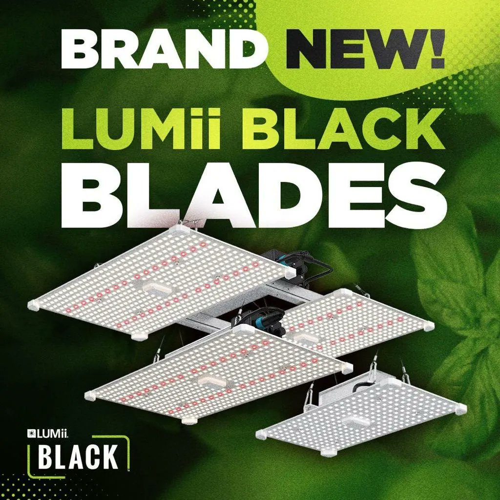EmporiumHydro's tweet photo. Brand New Lumii Blades - this is what they do..

*Adds UVA (385nm) to the grow light spectrum
*Adds Far Red (730 nm) to the grow light spectrum
*Fits directly to Lumii Black Blade 400W LED
*Can be used as a supplementary light with any other lighting

All sounds fair enough eh!! https://t.co/aKcOlGZyQk