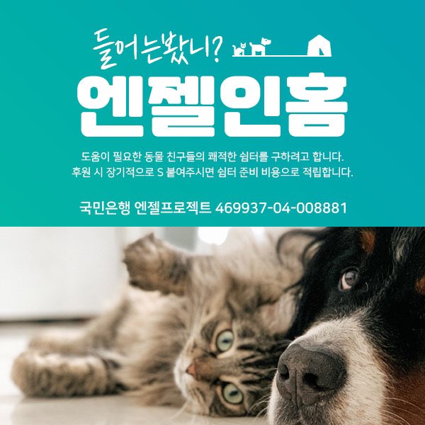 Hyeyounkim3's tweet photo. 라온이출국비 내고 남은 잔고는 100마넌 가량 
이중 35만가량은 쉼터 보증금 모으기 용
나머지는 삐삐 길냥이치료비ㅠ

버겁네요 점점 ㅠ https://t.co/OiHA98GFw6