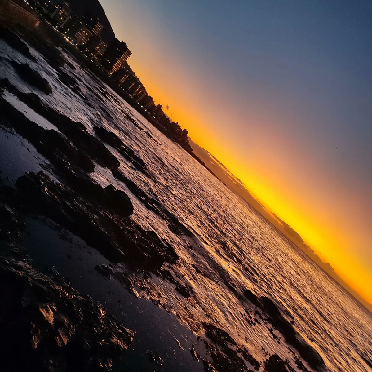 Emile Petersen tweet media