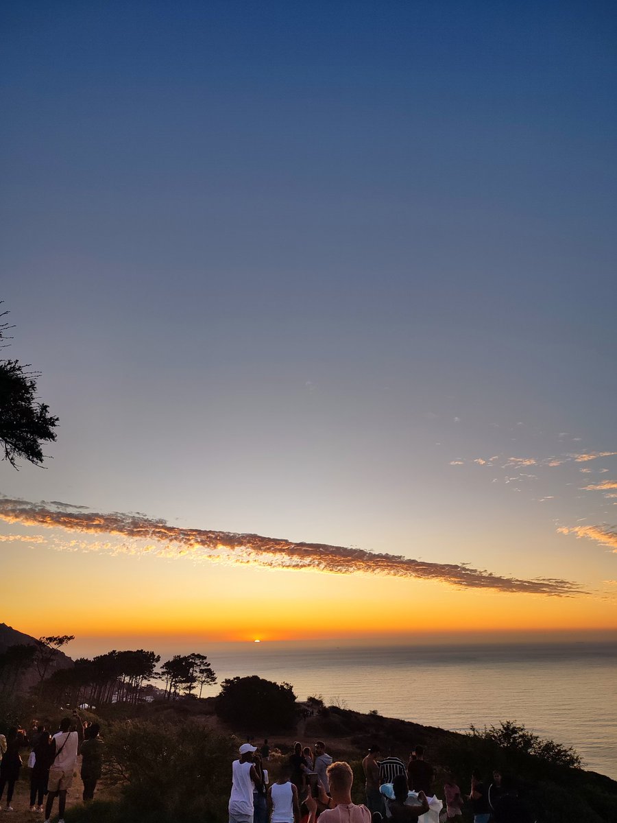 Emile Petersen tweet media