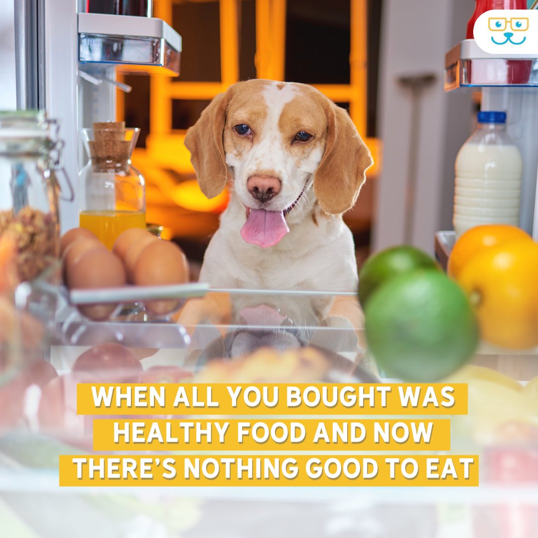 sugar_animal's tweet image. I regret all of these New Year's health resolutions... Need professional advice for the nutrition of your dog? Learn more on our website! bit.ly/3WXtrE9   #sugarriverahgratham #grathampets #sugarriverah #sugarriveranimalhospital