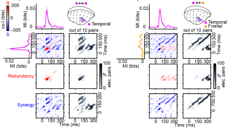 canalesjohnson's tweet photo. 1/8 Finally out! "Distributed representations of prediction error signals across the cortical hierarchy are synergistic", a global collaboration with Frank Gelens, Misako Komatsu, Michael A. Jensen, @drrobinince, @Kai_J_Miller, @happieheads, @uranc__ , @martin_a_vinck https://t.co/FmWVyG0FAo
