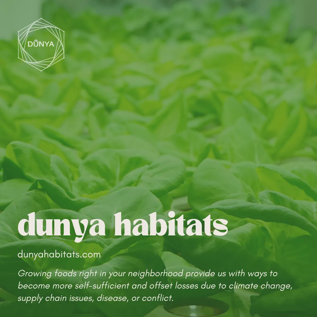 At Dunya Habitats, we want to put the power of growing into the hands of the people that need it the most. That is why we made our systems easy-to-use, climate-controlled, modular, and affordable farming solutions. 

Read more: buff.ly/3WTricP