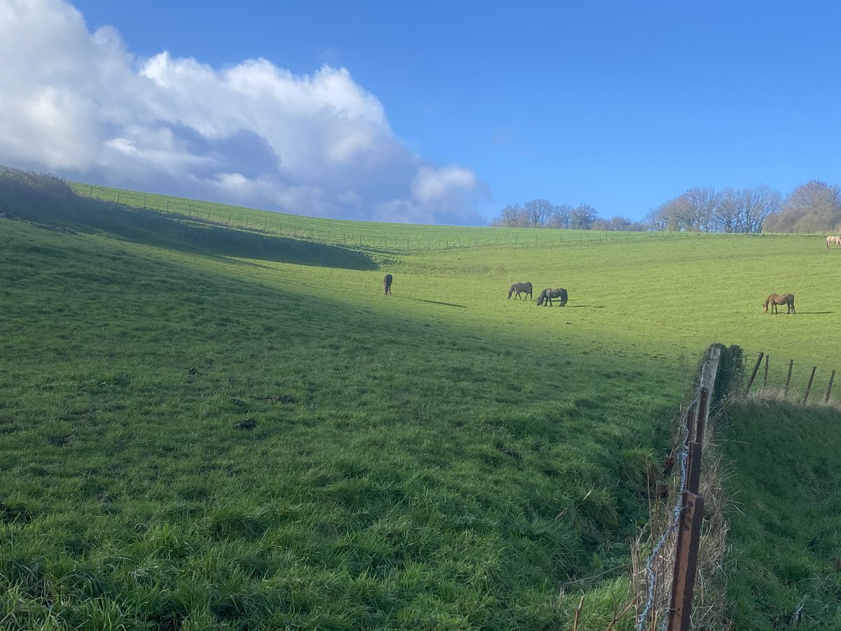 crocros's tweet photo. Le #BlueMonday du côté de la #suisse ce midi. Mais pas n’importe quelle Suisse ☝️: la #suissenormande #Normandie #Calvados https://t.co/oGomqqLV3N
