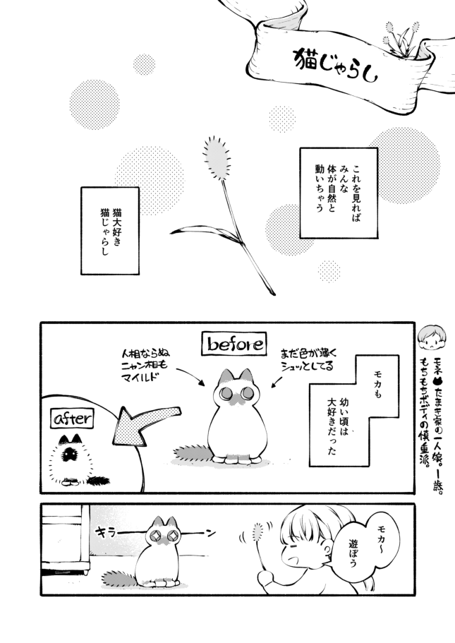 たまき家の小さきものたち4
https://t.co/po9oxFZe8A

今年初の更新です!
今回はおもちゃに関するお話2本立てです✨
皆さんのネコチャンは猫じゃらし(草)好きですか?

(1/2) 