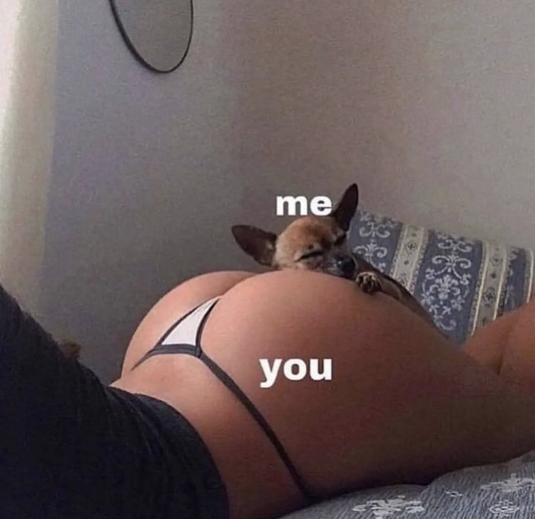 All Butt Her (@montecrypto3) on Twitter photo 