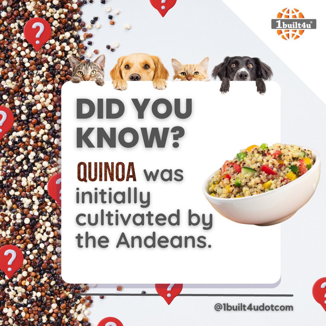 1built4udotcom's tweet photo. Did You Know?
Quinoa was initially cultivated by the Andeans.
#1built4u #didyouknow #quinoa #andeans #heath #facts #traditional #cultivation #agriculture #learning https://t.co/JmWT4tsIkL