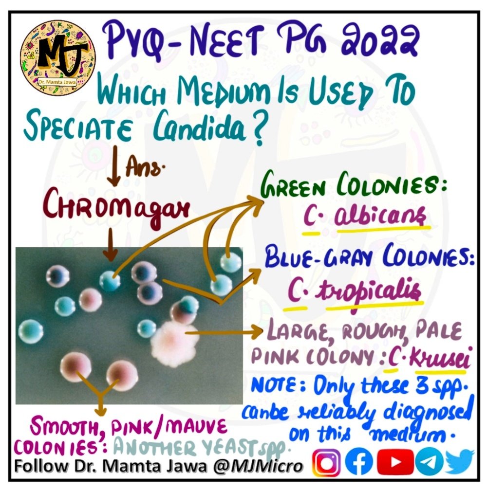 #MamtaJawa #MJMICRO #microtwitter #MedStudentTwitter #medstudents #IDtwitter #mayoclinic #WomenInMicrobiology #AmericanSocietyOfMicrobiology #clinicalmicro #microbiology #IDboardreview #MedEd #ASMclinMicro #microrounds #NEETPG