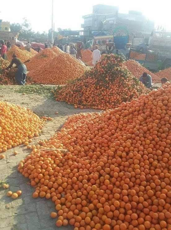 How to avoid losses in agriculture?