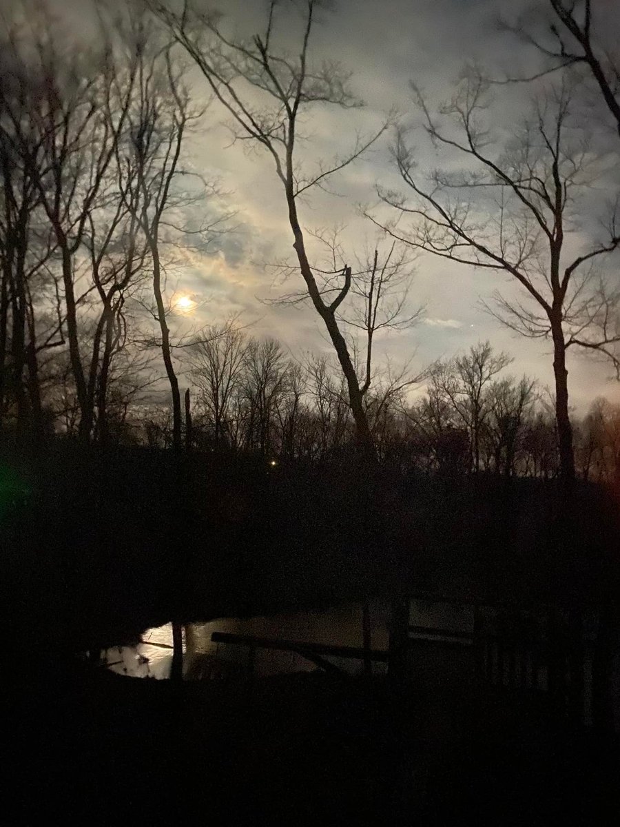 One year ago today I took this pre-dawn picture with no filter. It was a dark time in my life, but I couldn't see how dark 2022 would become. Today, God is my light in the darkness, and he'll shine even brighter in 2023! #divorcerecovery #betrayaltrauma #traumarecovery