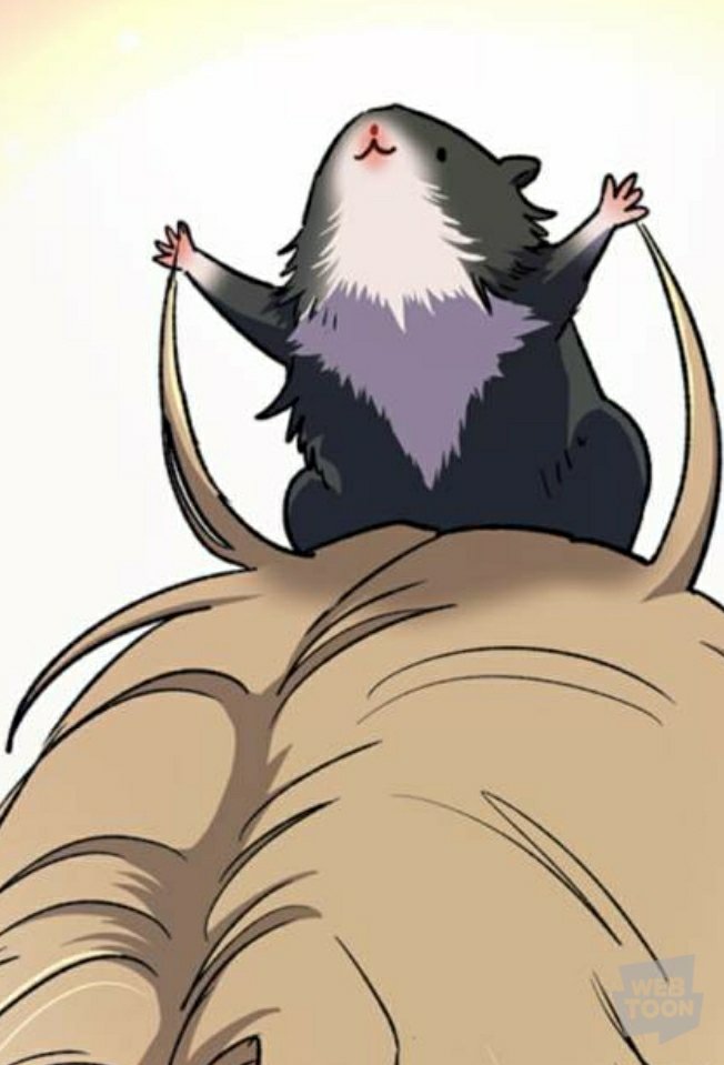 Sgeuppanun_bobu's tweet image. 같은 스킬 다른 연출