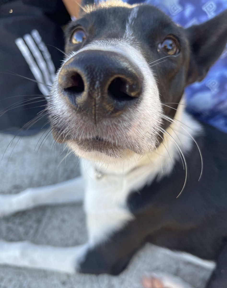 sparks (@rosemaryyy23) on Twitter photo 