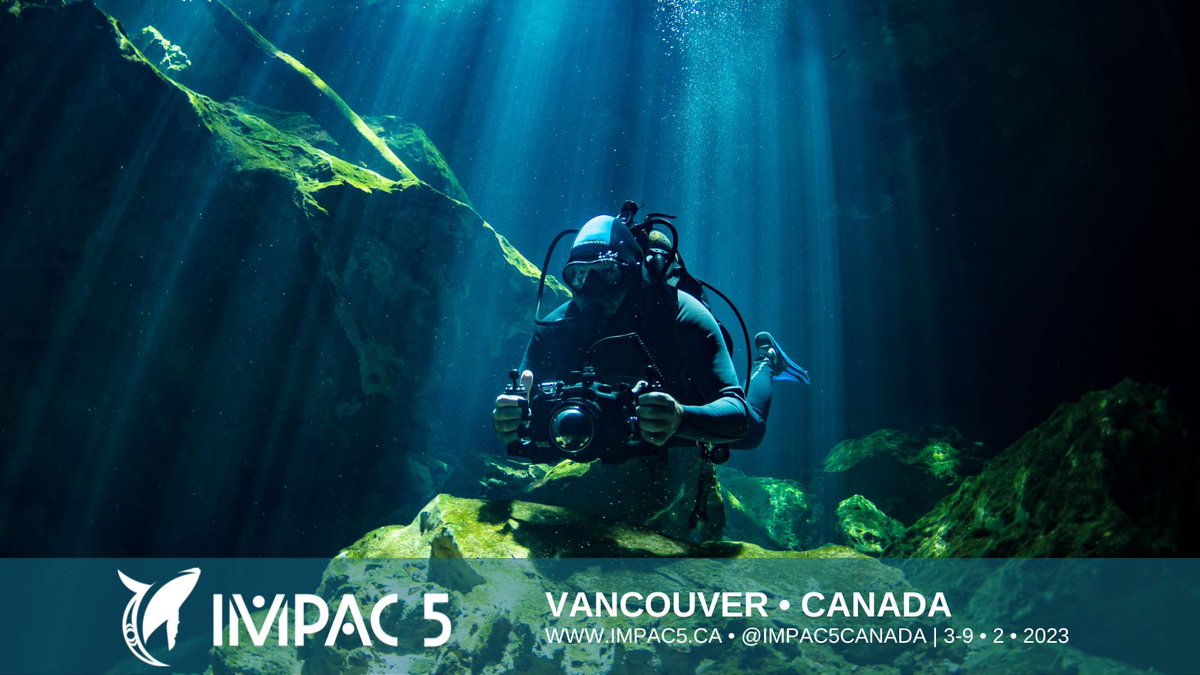 IMPAC5 tweet media