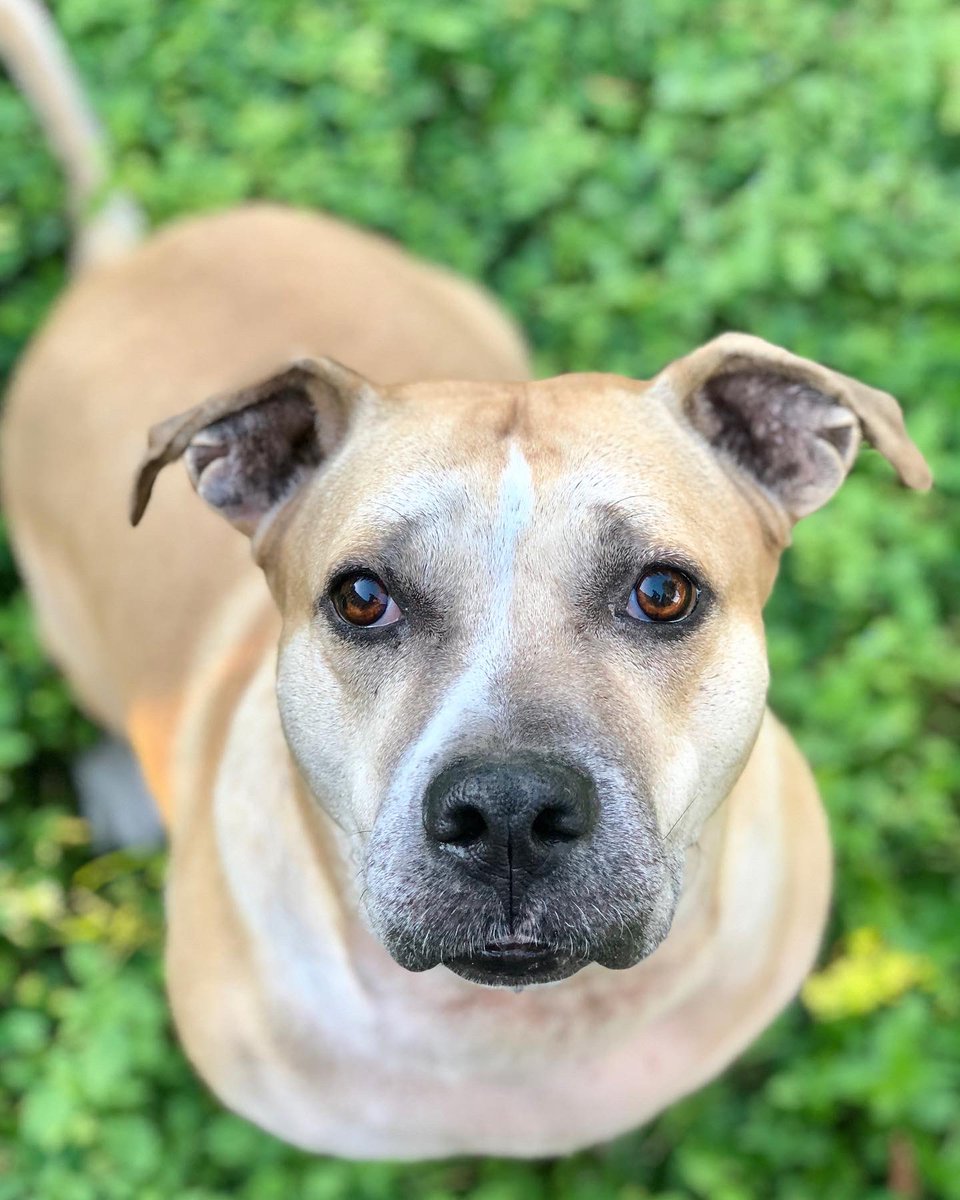heyzeus93's tweet photo. I’ll miss you forever baby girl 🖤 https://t.co/Oyi4qJnobX