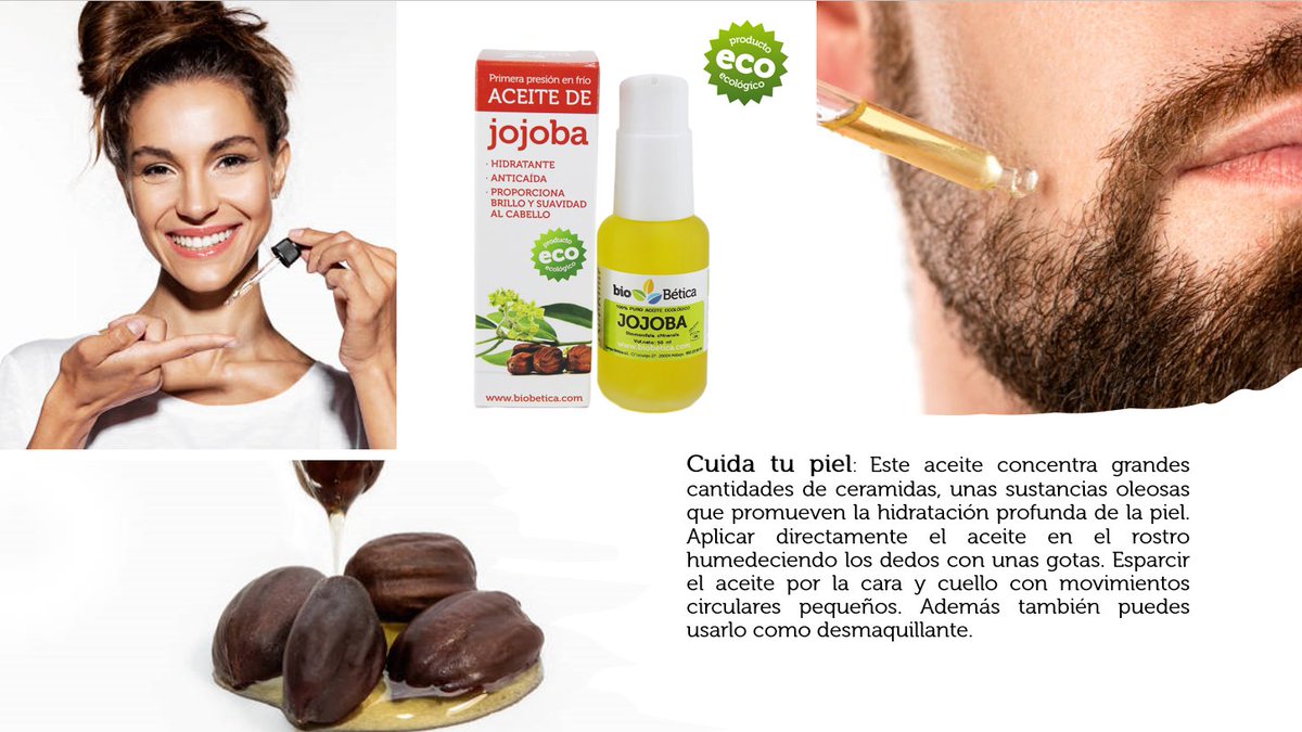 bioBética tweet media