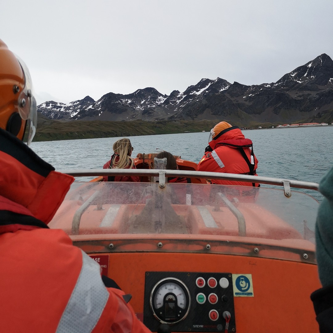 Ocean Diagnostics tweet media