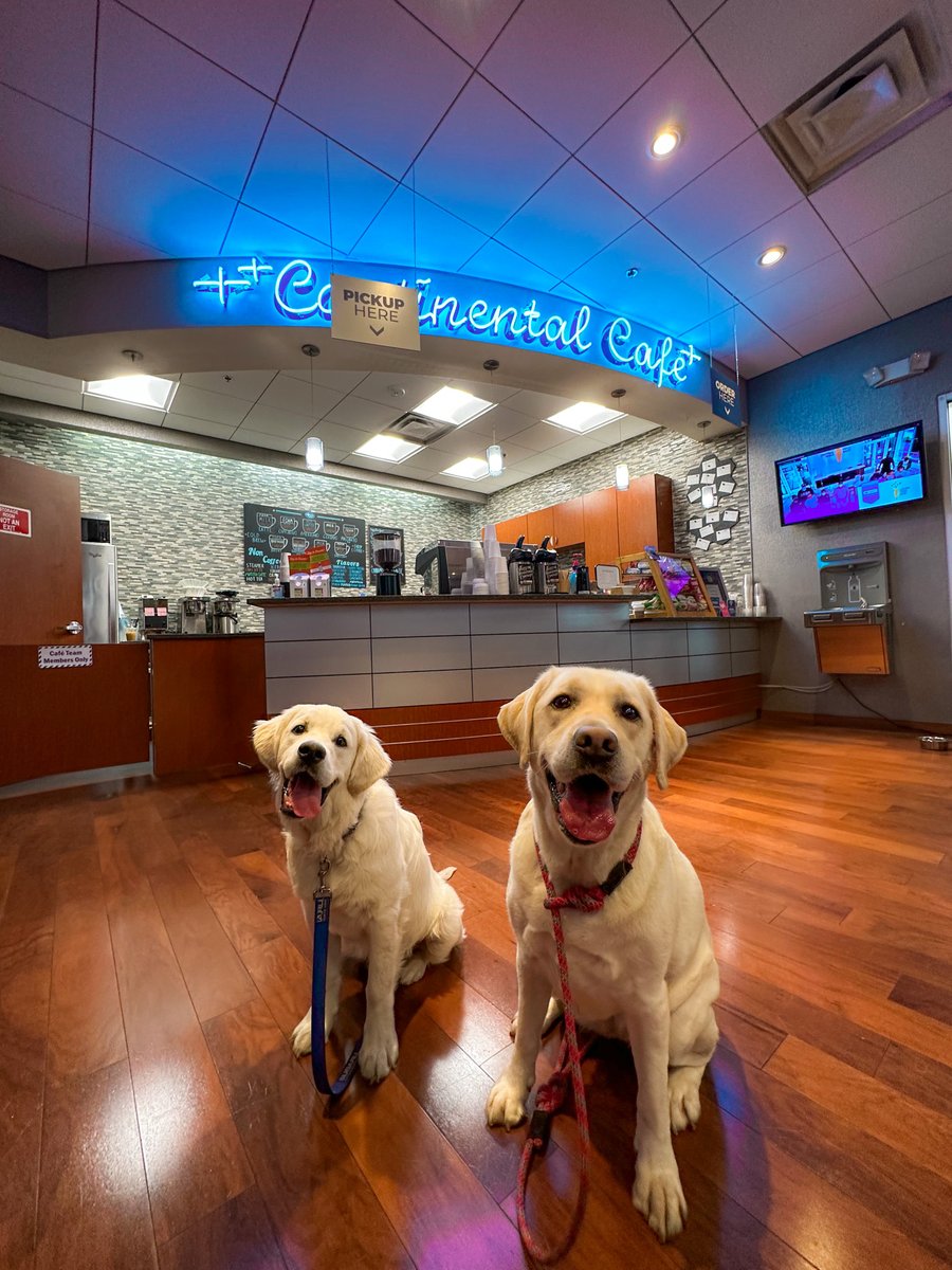 Morning coffee anyone? ☕ We have your back, while you wait. Get your furry friends a puppaccino while your at it. 🐶