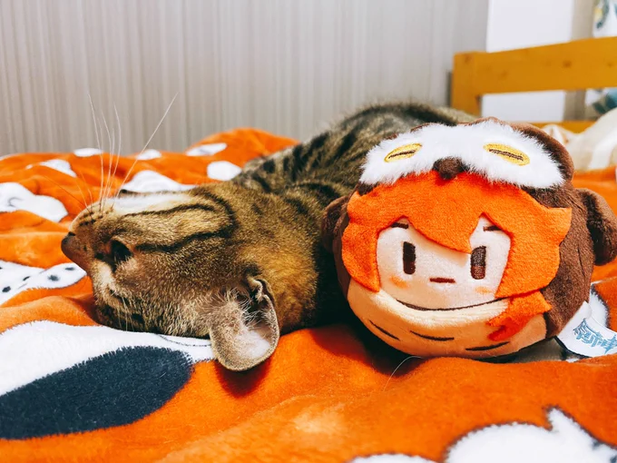 フン…… 