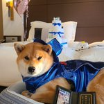 ツイートに含まれる画像