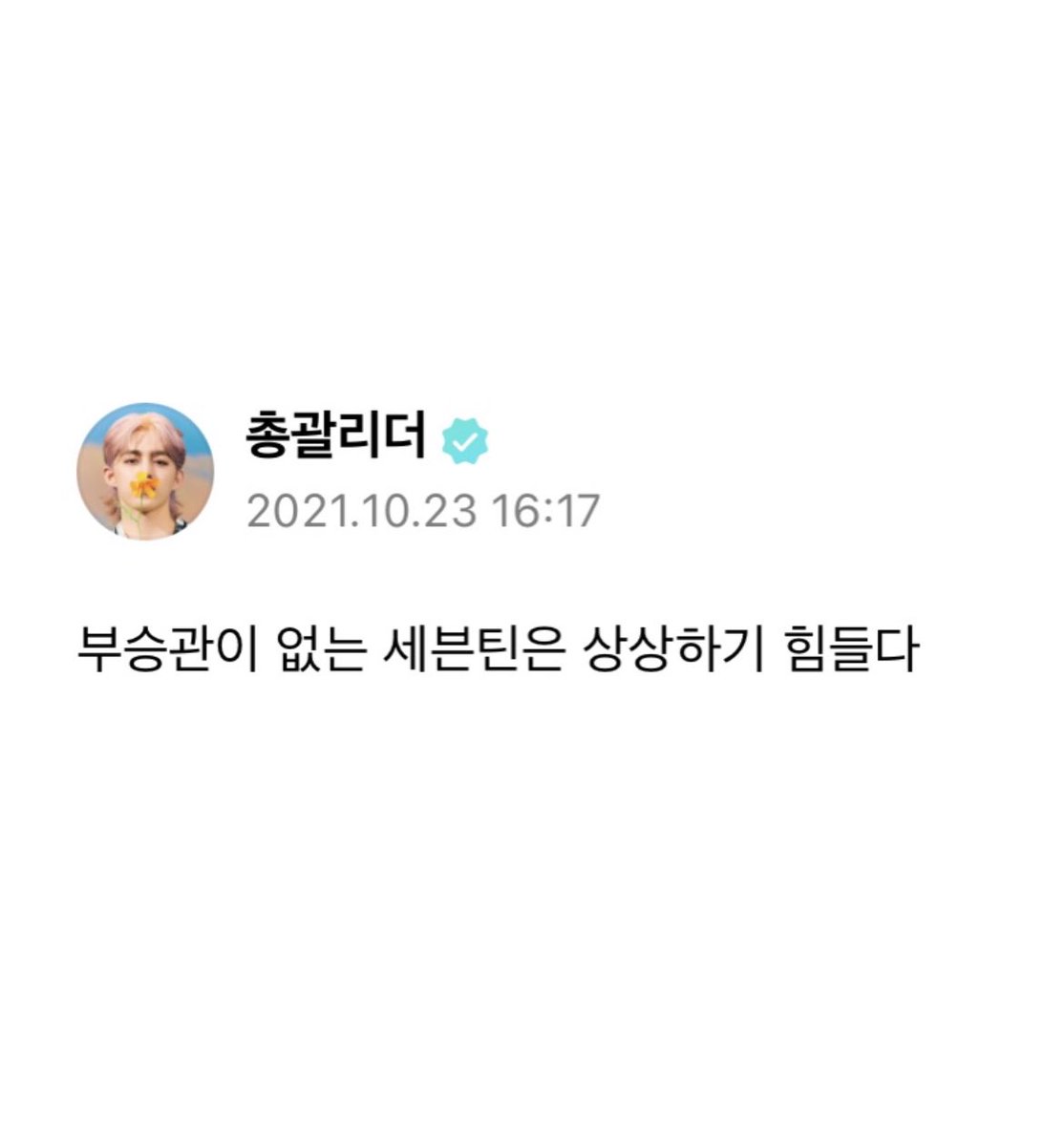 coup_jung's tweet photo. 부승관이 없는 세븐틴은 상상하기 힘들다 https://t.co/xhzlZJGBtM