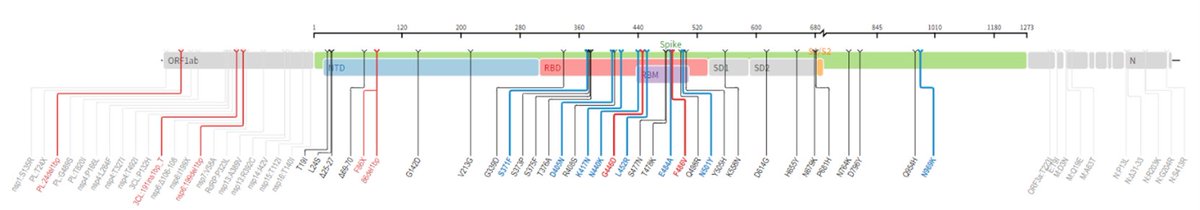 Pascalis Vergidis MD, MSc (@pascalisid) on Twitter photo Genotypic and predicted phenotypic analysis of Omicron subvariants in COVID-19 following Evusheld. Journal of Clinical Virology <a href="/EloyOrdayaMD/">Eloy Ordaya Espinoza</a> <a href="/RazonableMD/">Raymund Razonable</a> Joe Yao <a href="/ElenaBeamMD/">Elena Beam</a> #IDTwitter <a href="/MayoClinicINFD/">Mayo Clinic Infectious Diseases</a> papers.ssrn.com/sol3/papers.cf… Genotypic and predicted phenotypic analysis of Omicron subvariants in COVID-19 following Evusheld. Journal of Clinical Virology <a href="/EloyOrdayaMD/">Eloy Ordaya Espinoza</a> <a href="/RazonableMD/">Raymund Razonable</a> Joe Yao <a href="/ElenaBeamMD/">Elena Beam</a> #IDTwitter <a href="/MayoClinicINFD/">Mayo Clinic Infectious Diseases</a> papers.ssrn.com/sol3/papers.cf…
