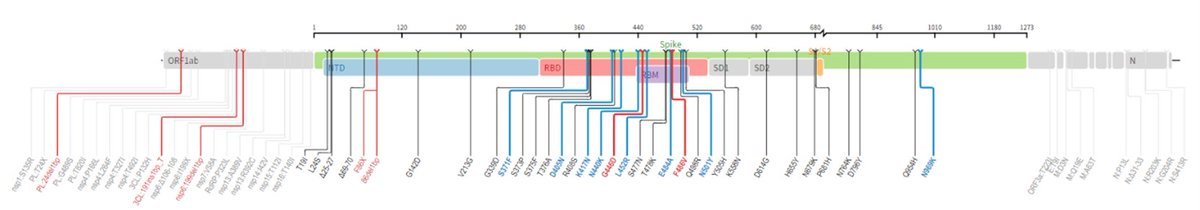 Genotypic and predicted phenotypic analysis of Omicron subvariants in COVID-19 following Evusheld. Journal of Clinical Virology @EloyOrdayaMD @RazonableMD Joe Yao @ElenaBeamMD #IDTwitter @MayoClinicINFD papers.ssrn.com/sol3/papers.cf…