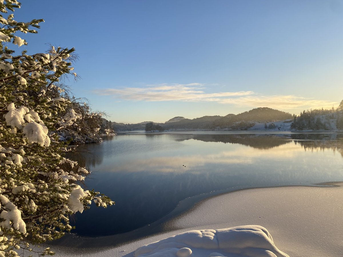 Eva Olsen Photography tweet media