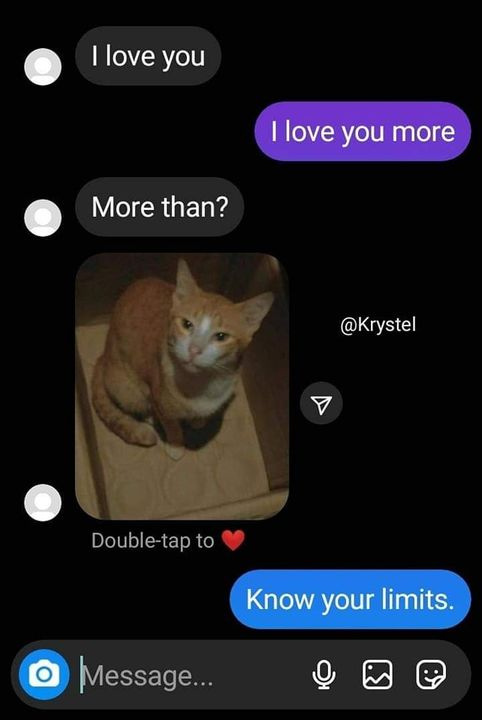 cats who share one braincell tweet media