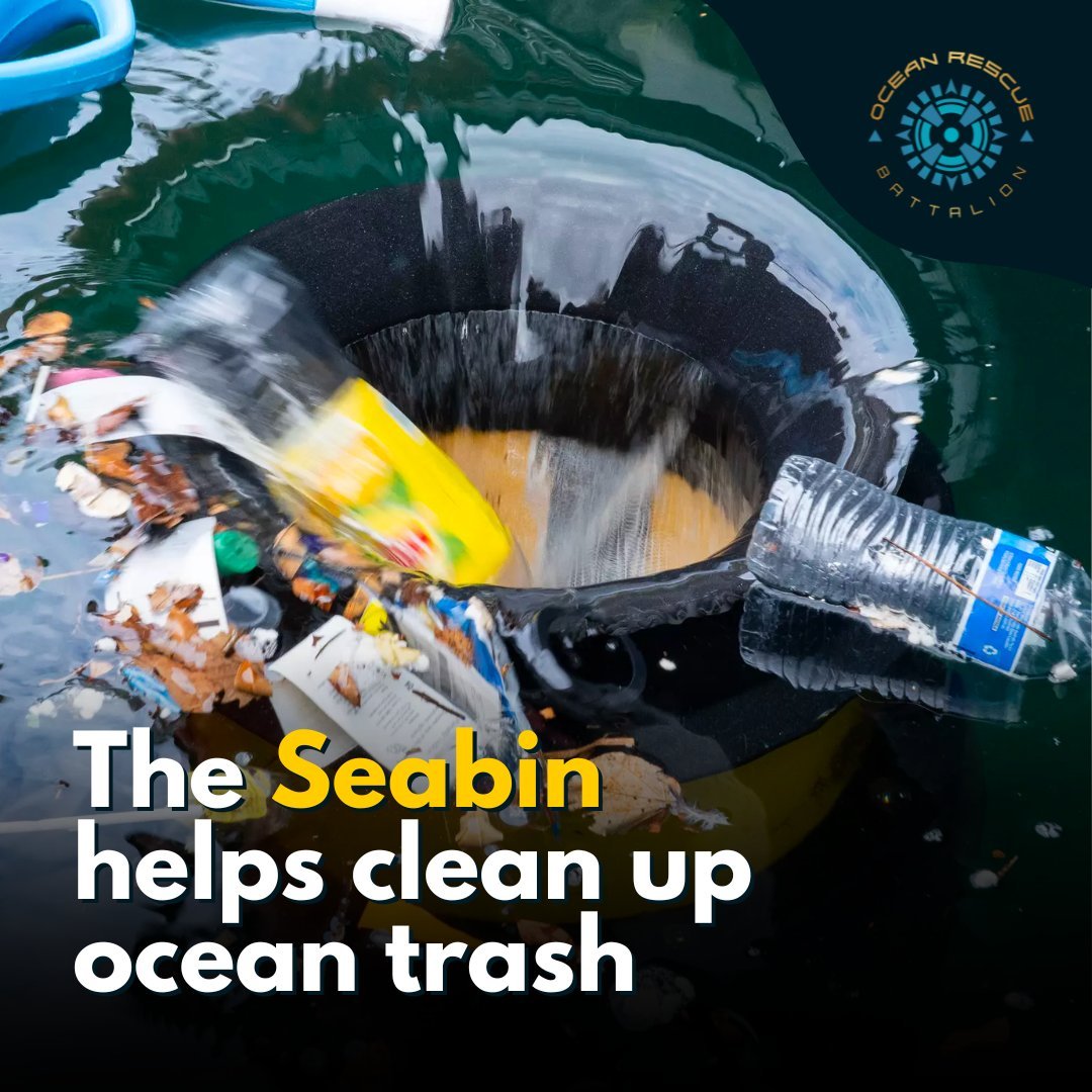 Seabin Project is a tech startup that aims to alleviate ocean plastic waste and promote ocean conservation. Their innovation, a floating waste bin, collects rubbish, oil, petrol, and detergents.

weforum.org/agenda/2022/09…

#oceannews #marinelife #savetheplanet #ocean #environment