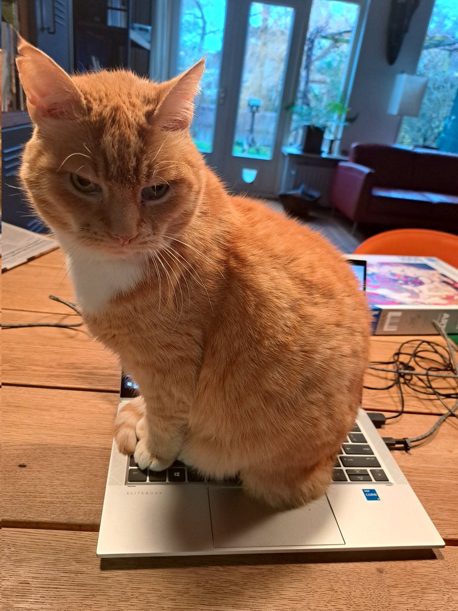 SSijbrandij's tweet photo. Dat is het mooie aan thuiswerken. 
Je wordt gedwongen regelmatig even te pauzeren.  En Rinus voelt feilloos aan wanneer het juiste moment is. https://t.co/QzQQ9E4gpK
