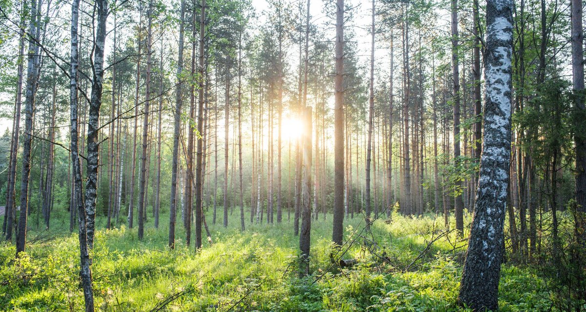 Weniger ist mehr: Durch die Optimierung unserer Produktionsprozesse sind wir in der Lage, aus wenig Rohmaterial größere Mengen Endprodukt herzustellen. Auf diese Weise reduzieren wir Jahr für Jahr unsere #Umweltbelastung. Mehr zum Thema #Nachhaltigkeit: bit.ly/3vWicQo