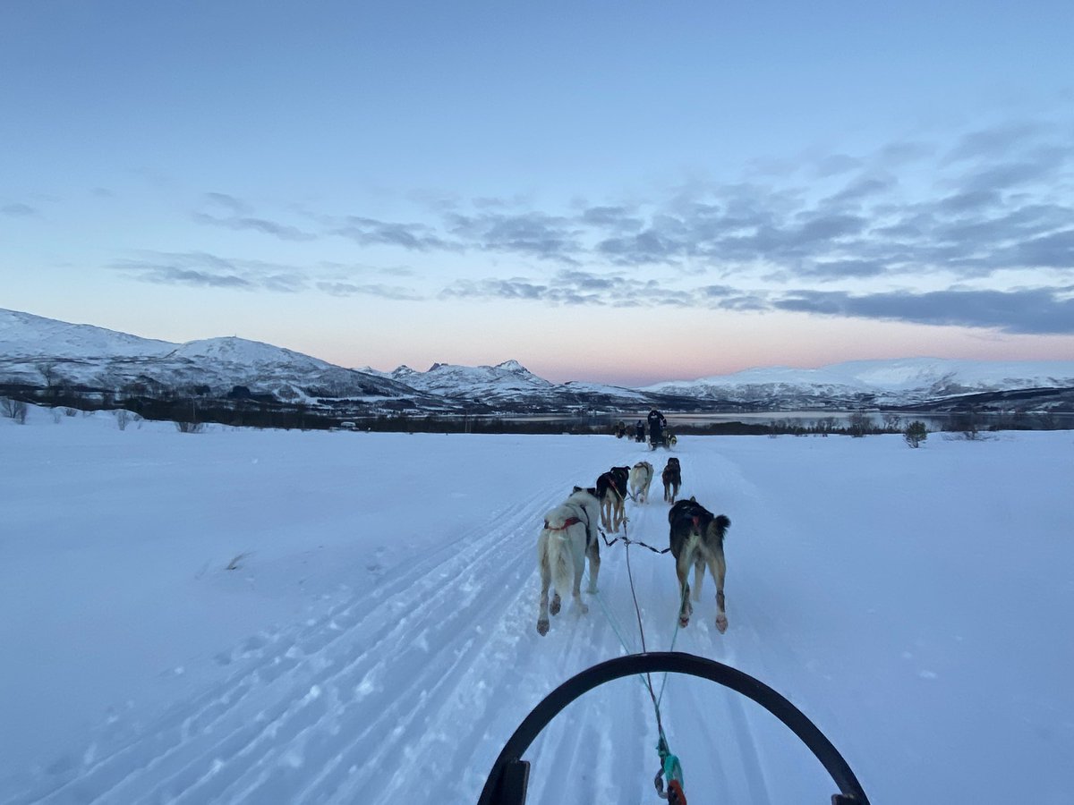 DavyVCalsteren's tweet photo. High noon at Tromsø, Norway. https://t.co/EanUsY5bcL