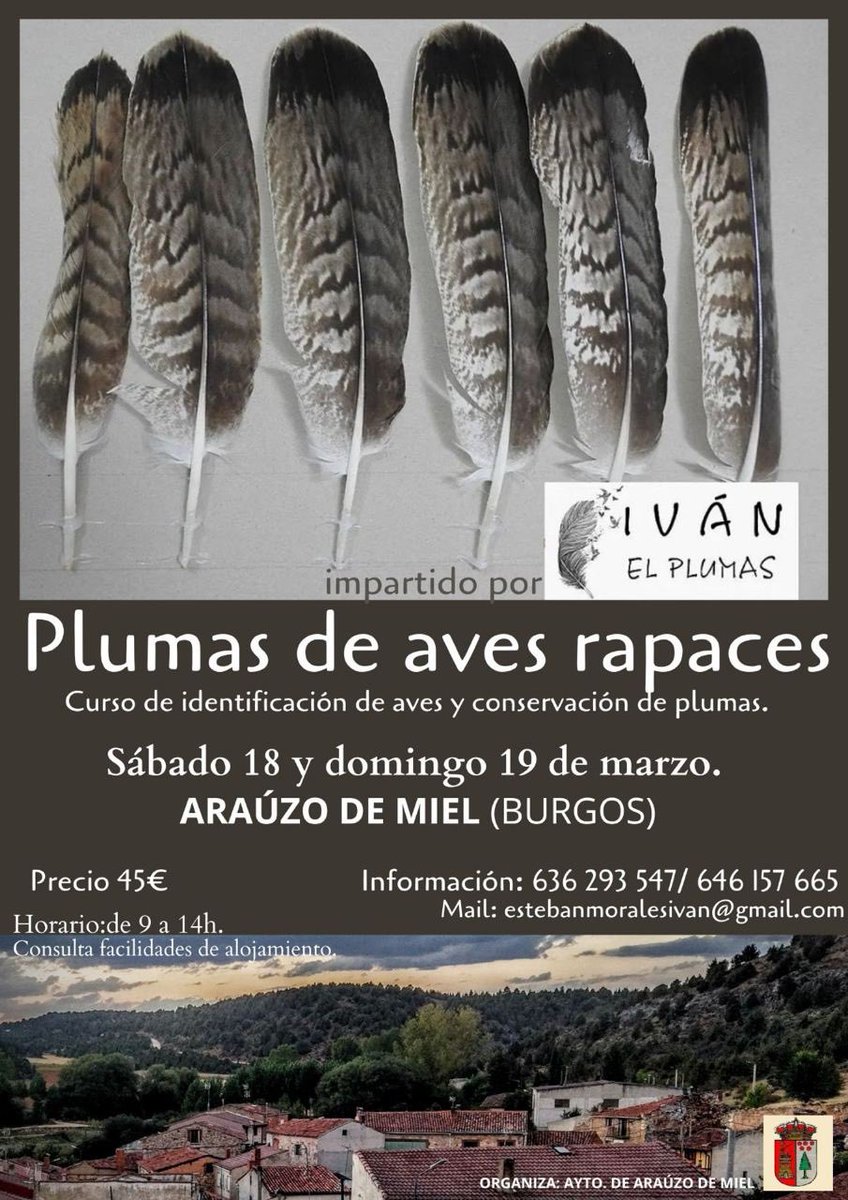 🦢 Curso de identificación de aves este fin de semana en #ArauzodeMiel.