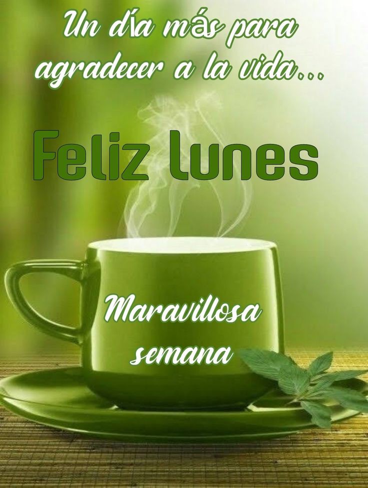 JhosepTaipan's tweet photo. #VenezuelaTerritorioDePaz
@PSUV_3691 @imaldonado90 @marango_c @Juan407864111 @FernandoCegarra @Pascual20121101 @Michell70380832 @NayeskaM3 @lrrc2020 @jmhgomez1 @RosaFer2022 @carolin95182780 @chande5035 @jesus37233 @kristof8419 @Dianaher14567221 https://t.co/yFCxRPXMKa
