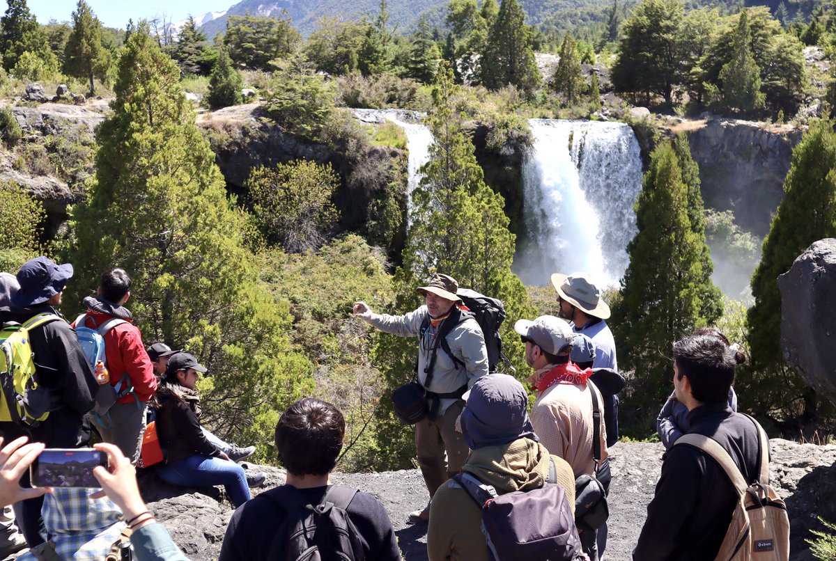 Rachel Breunig tweet media