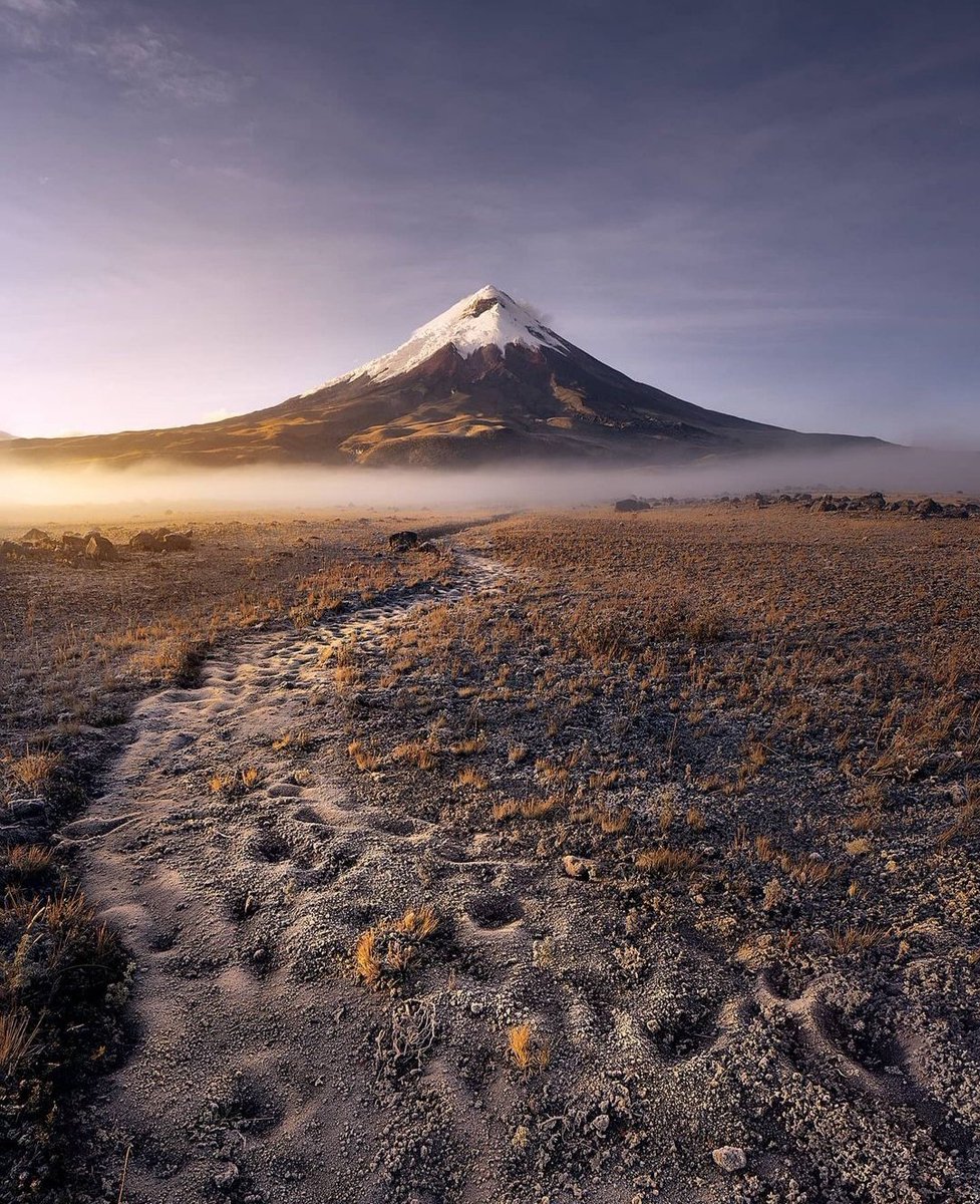 📍 Cotopaxi.

📧 Envíen sus aportes a nuestro correo infoecuadorimages593@gmail.com y sigan nuestra página principal en Instagram ecuadorimages593 👈 para ser parte de esta galería.
#FotografiandoEcuador #atravésdelacascada