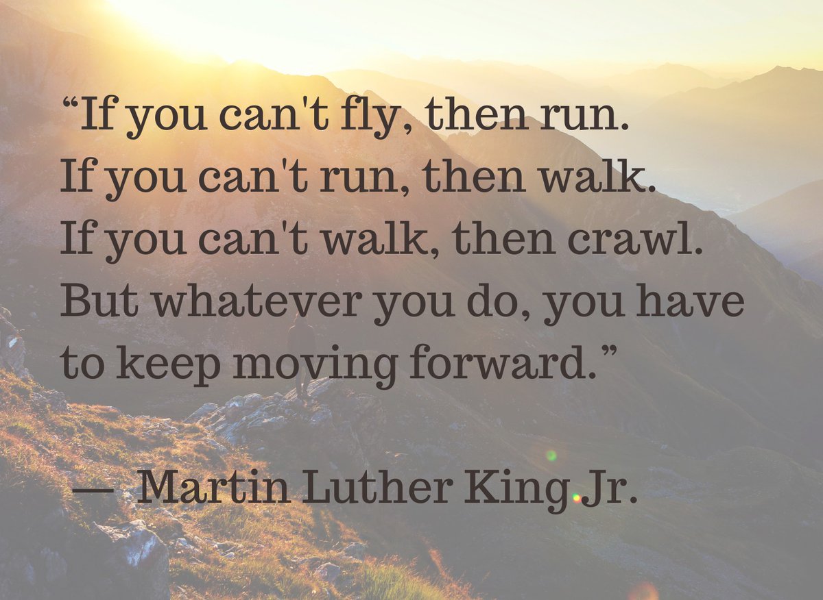 “If you can't fly, then run.
If you can't run, then walk.
If you can't walk, then crawl.
But whatever you do, you have to keep moving forward.”

― Martin Luther King Jr.

#MLKDay