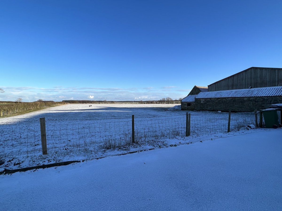 Beautiful winters day in North Yorkshire “on’t Moo-er”