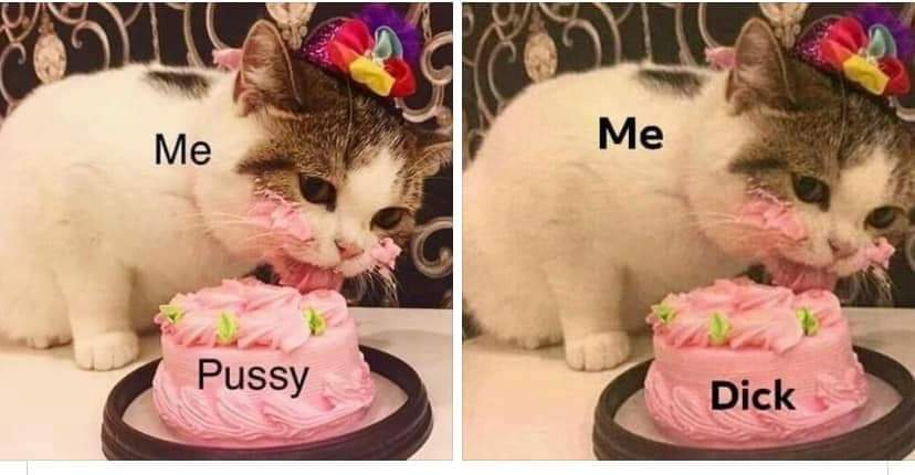 PrincessPilo's tweet image. 