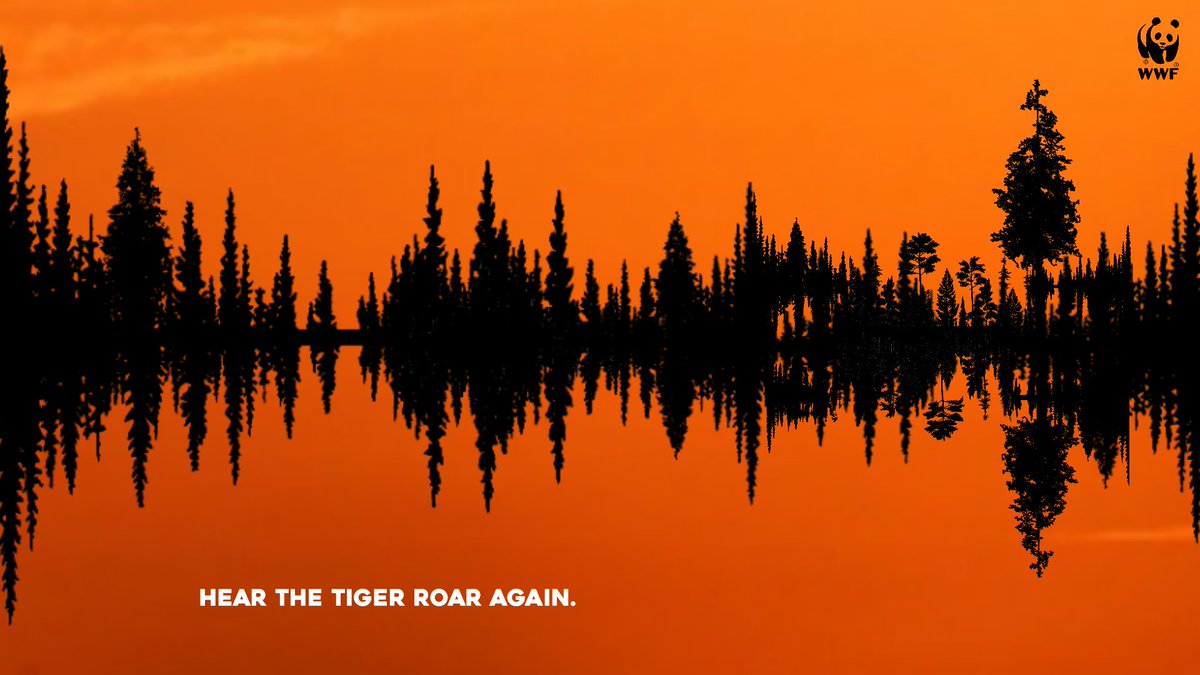 Hear them roar again #YearOfTheTiger @OneMinuteBriefs #Advertising