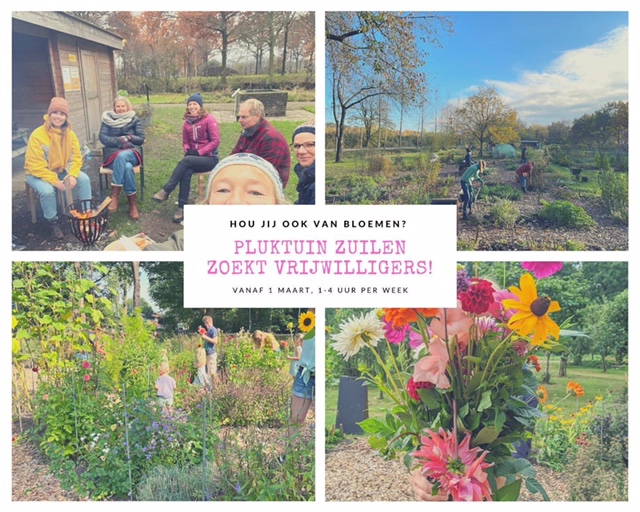 Hou je van bloemen? Vrijwilligers gezocht bij <a href="/PluktuinZ/">Pluktuin Zuilen</a> !!!