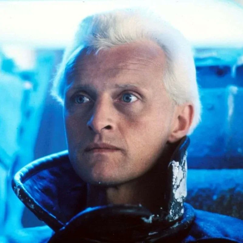 MHTHEvents's tweet photo. Brighton Pop Up Cinema's first event of 2023 AND their first ever post film discussion group arrives on February 1st. 

Enjoy big screen Blade Runner and then join in on an (optional) post film fun and informal discussion group for a chat about it!

Info: https://t.co/Rsku85ppZt https://t.co/UQxX20VUzf