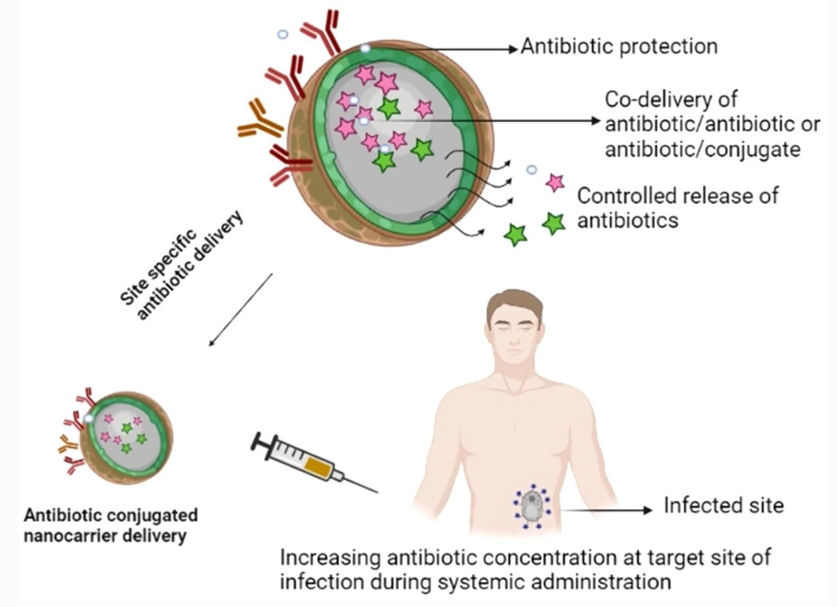SpringerMicBio's tweet photo. New in Archives of Microbiology: Nanotechnology: a contemporary therapeutic approach in combating infections from multidrug-resistant bacteria
Read now at: https://t.co/9TtWye8Jz8
#Antibioticresistance #Bioavailability #Microflora #Nanostructures #Therapeutics https://t.co/9ZNdv5M3NC