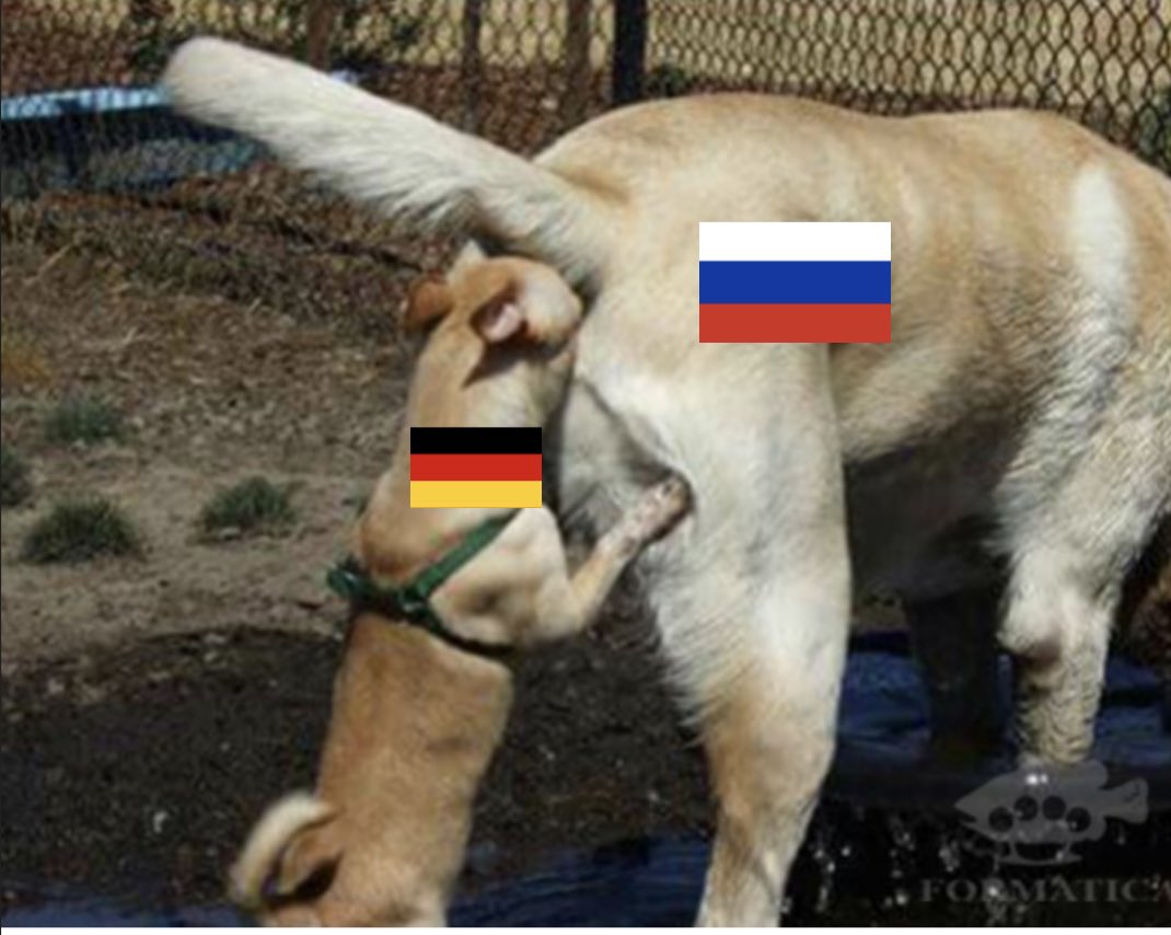 C4H2OC's tweet image. When company is shit.
@GFG closed e-commerce #lamoda in Ukraine in MAR22, in JAN23 @GFG asked UA staff to leave company with some compensation.

While russian and Belarusian offices have no problems with new investments.

@Boycott_RU @NewsRau @dennydov
@BoF @Drapers