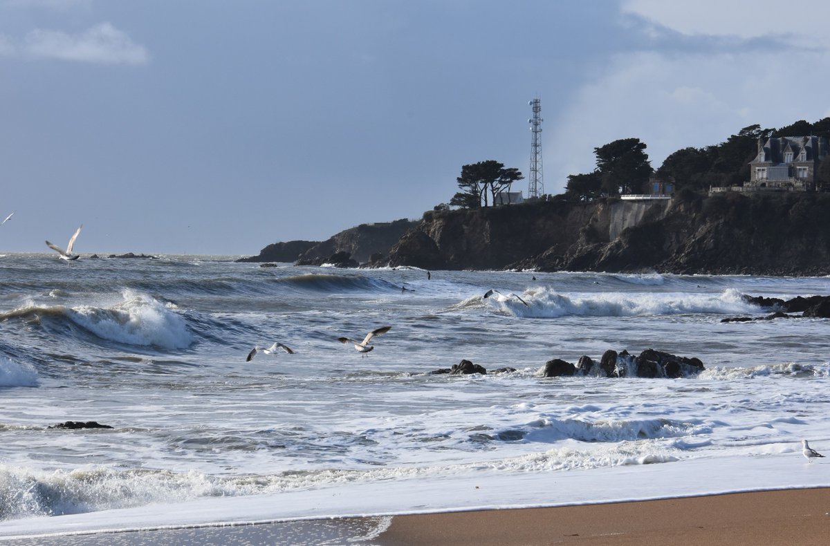 christodedieu's tweet photo. Mer agitée après le passage de la #tempetegerard #saintmarcsurmer #saintnazaire #saintnazairerenversante #saintnazairetourisme #loireatlantique #loireatlantiquetourisme #vagues #borddemer #baladesympa #magnifiquefrance https://t.co/kLoHV7CQYC